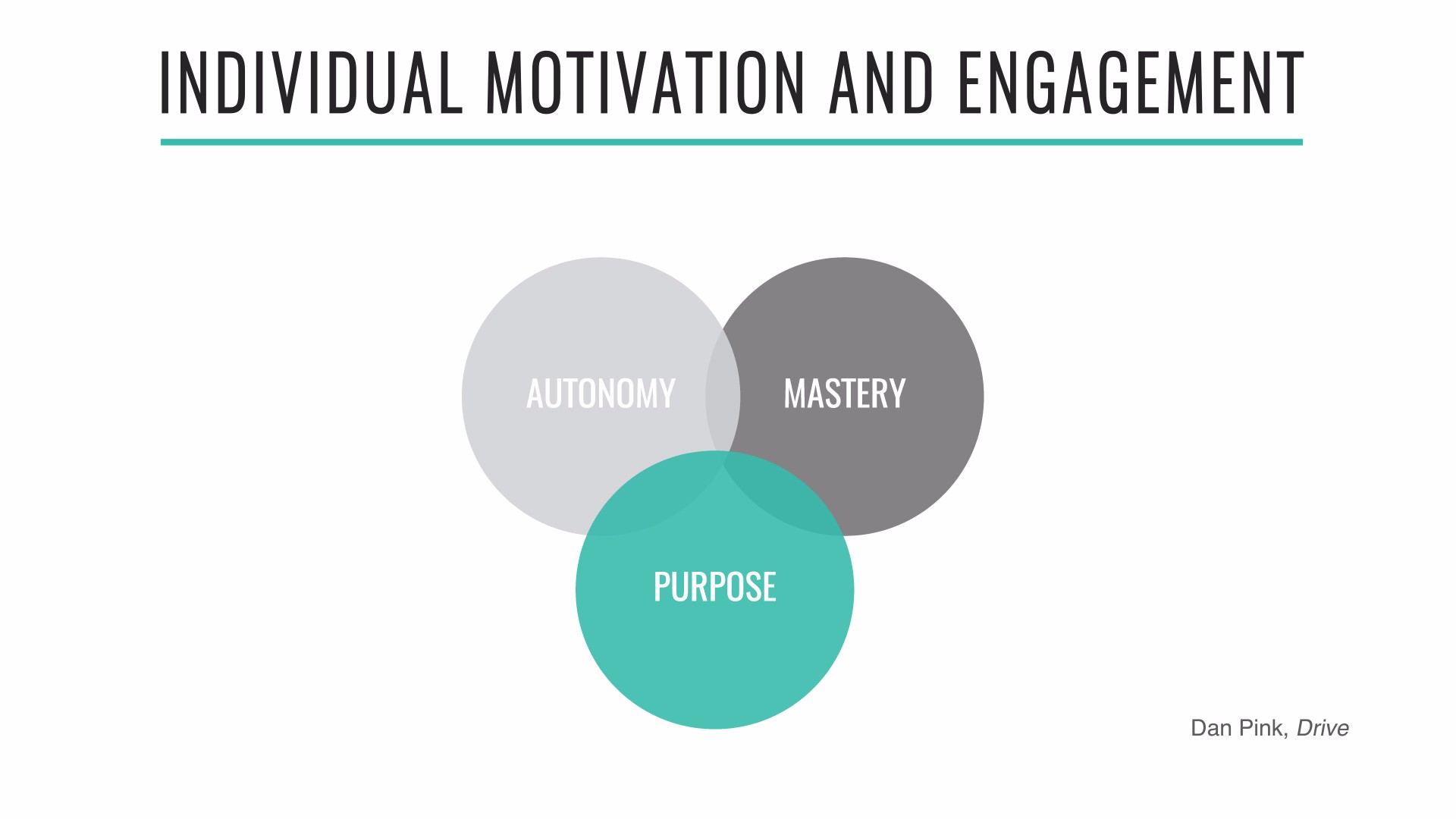 Individual motivation and engagement