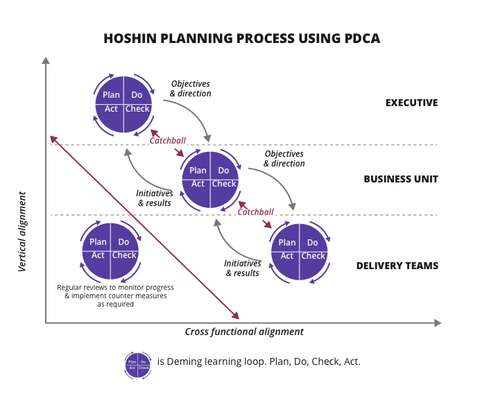 Hoshin planning process